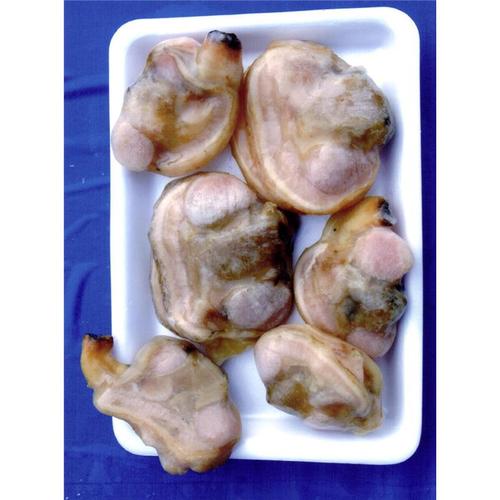 鲜冻超鲜大蛤肉原浆天鹅蛋肉大连海鲜水产品特产贝类制品一件代发